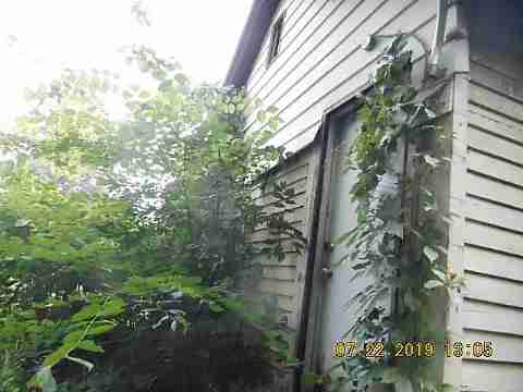 8558 Orangelawn (9)_m.jpg